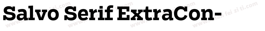 Salvo Serif ExtraCon字体转换